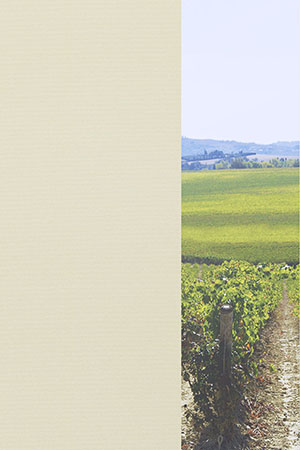 Preview Julia 71.040 2