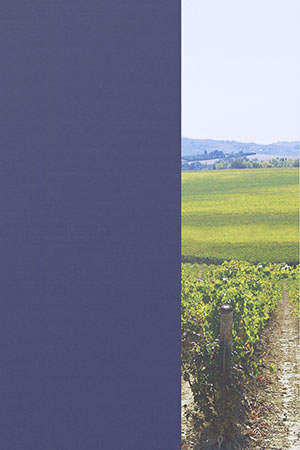 Preview Julia 85.040 2