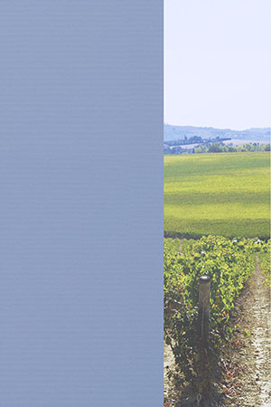 Preview Julia 56.040 2