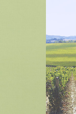 Preview Julia 98.040 2