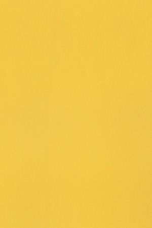 Daily Uni 42.850 Detailansicht