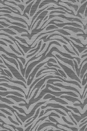 Zebra 20.485 Detailansicht