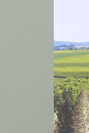 Preview Alice 20.078 2