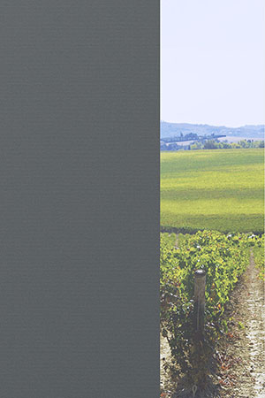 Preview Alice 30.078 2