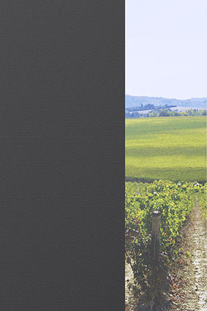 Preview Alice 40.078 2