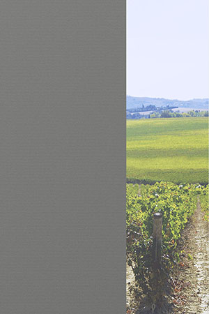 Preview Alice 31.078 2