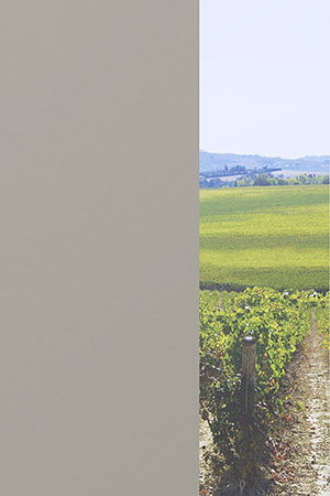 Preview Alice 91.078 2