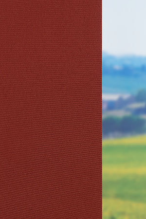 Preview Scerzo 26.10 3