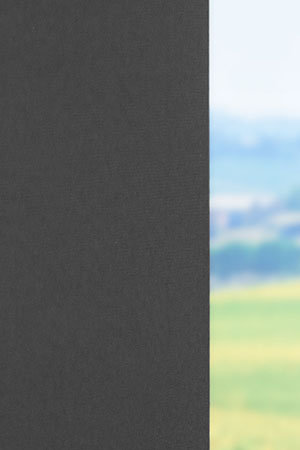 Preview Scerzo 26.17 3