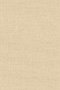 Clothy 81.861
