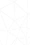 Polygon 03.833