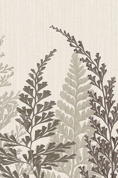 Talparo 21.964 Talparo 21.964
