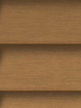 Design Lamelle RAL_Classic_1011_Struktur (Jalousie)