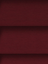 Design Lamelle RAL_Classic_3005_Struktur (Jalousie)