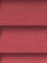 Design Lamelle RAL_Classic_3017_Struktur (Jalousie)