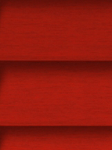 Design Lamelle RAL_Classic_3020_Struktur (Jalousie)