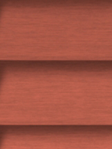 Design Lamelle RAL_Classic_3022_Struktur (Jalousie)