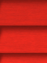 Design Lamelle RAL_Classic_3024_Struktur (Jalousie)