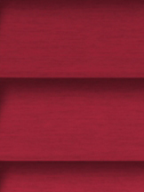 Design Lamelle RAL_Classic_3027_Struktur (Jalousie)