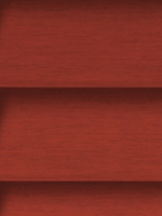 Design Lamelle RAL_Classic_3033_Struktur (Jalousie)