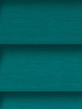 Design Lamelle RAL_Classic_5021_Struktur (Jalousie)