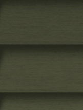 Design Lamelle RAL_Classic_6003_Struktur (Jalousie)