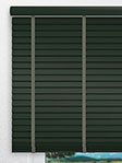 Design Lamelle RAL_Classic_6009_Struktur (Jalousie)