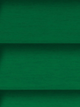 Design Lamelle RAL_Classic_6029_Struktur (Jalousie)