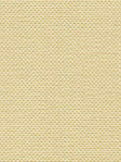 Lamelle Pirofilo trans 1009 Detailansicht