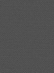 Stoff Daily 30.558