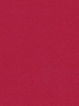 Lamelle Scerzo 1062 Detailansicht