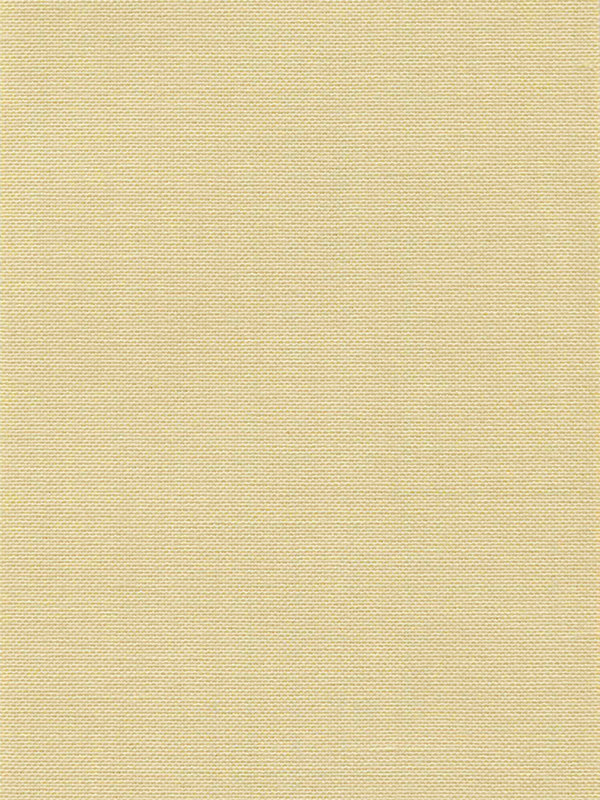 Detailansicht Lamelle Pirofilo trans 1009