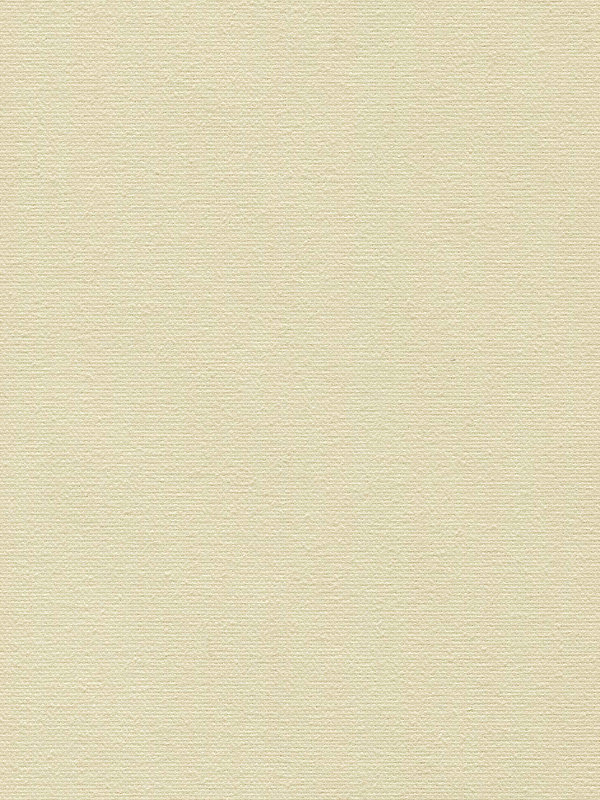 Detailansicht Lamelle Vernicato 1031