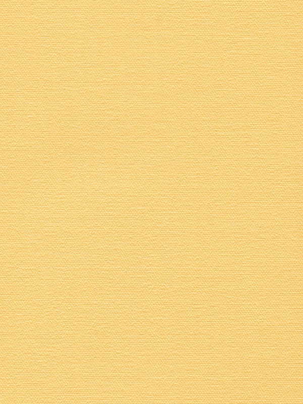 Detailansicht Lamelle Vernicato 1032
