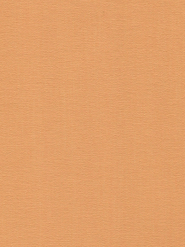 Detailansicht Lamelle Vernicato 1033