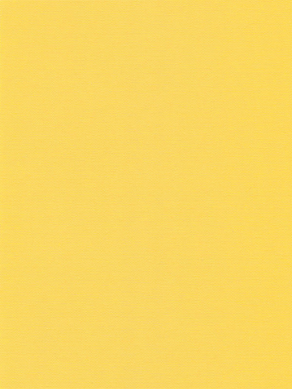 Detailansicht Lamelle Scerzo 1005