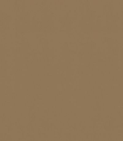 Preview Lazy 81.050 1