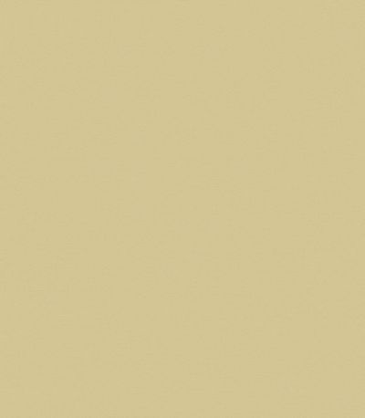 Preview Lazy 0.322.02 1