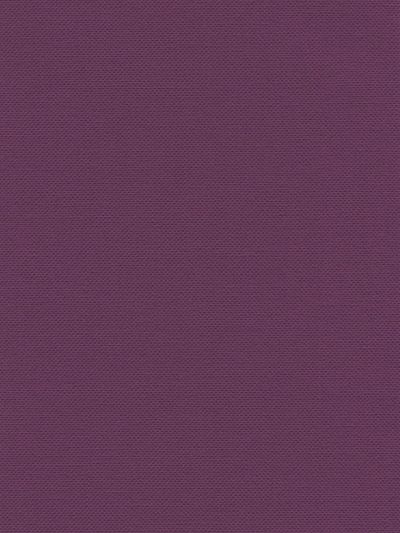 Preview Lamelle Pirofilo trans 1010 6