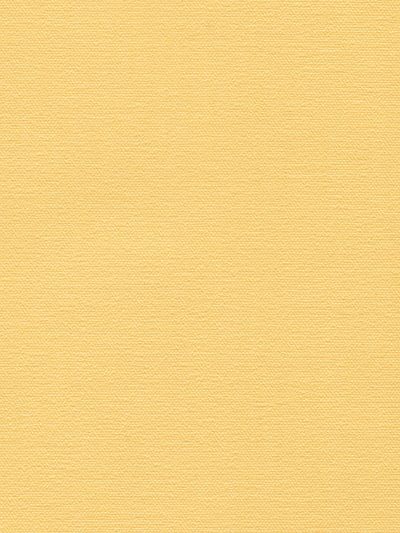 Preview Lamelle Vernicato 1032 6