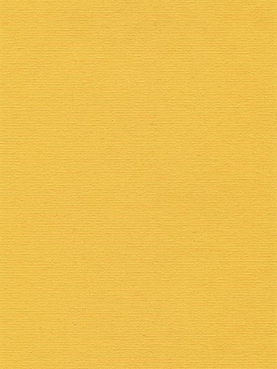 Preview Lamelle Parco 1042 6