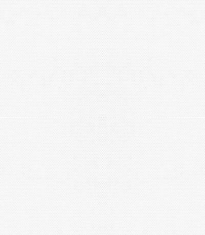 Preview Lysel Lamellenvorhang 2020 Palomas 1