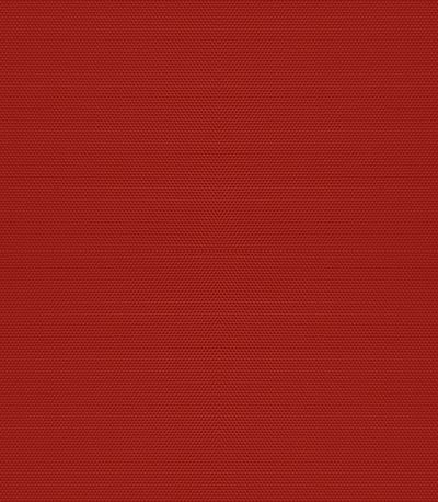 Preview Lysel Lamellenvorhang 2026 Palomas 1