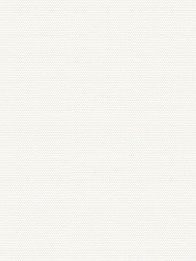 Lysel Lamellenvorhang 4045 Zevio Lysel Lamellenvorhang 4045 Zevio