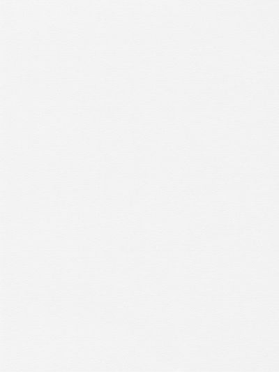 Preview Lamelle Scerzo 1004 6