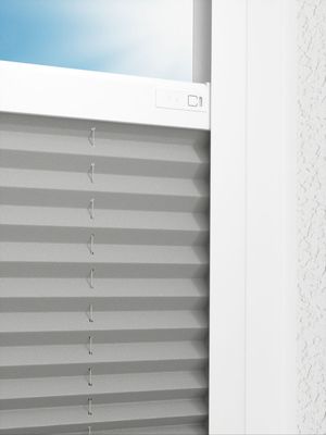 Preview LYSEL HOME Plissee 309A Dorswin 2