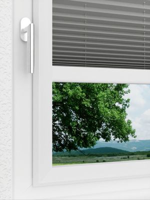 Preview LYSEL HOME Plissee 309A Dorswin 3