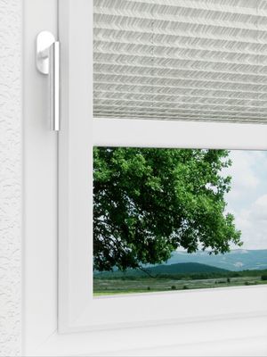 Preview LYSEL HOME Plissee 341A Tonka 3
