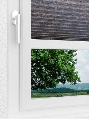 Preview LYSEL HOME Plissee 405A Panorama 3