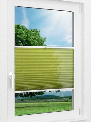 LYSEL HOME Plissee 316A Bahrain Fensteransicht